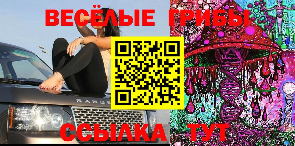 купить наркоту  Галлюциногенные грибы Psilocybine cubensis  Вход с VPN  Тольятти 