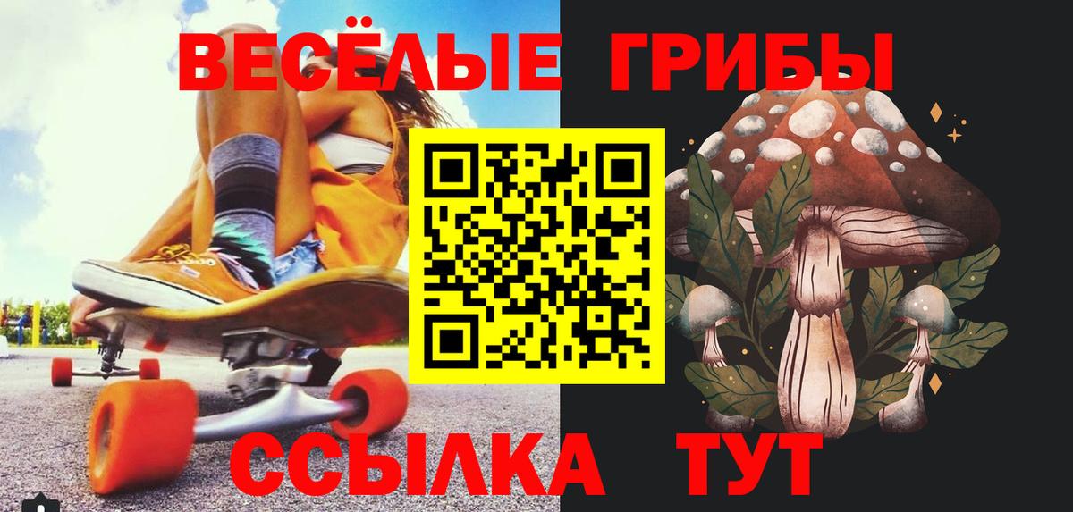 Псилоцибиновые грибы мицелий Тольятти